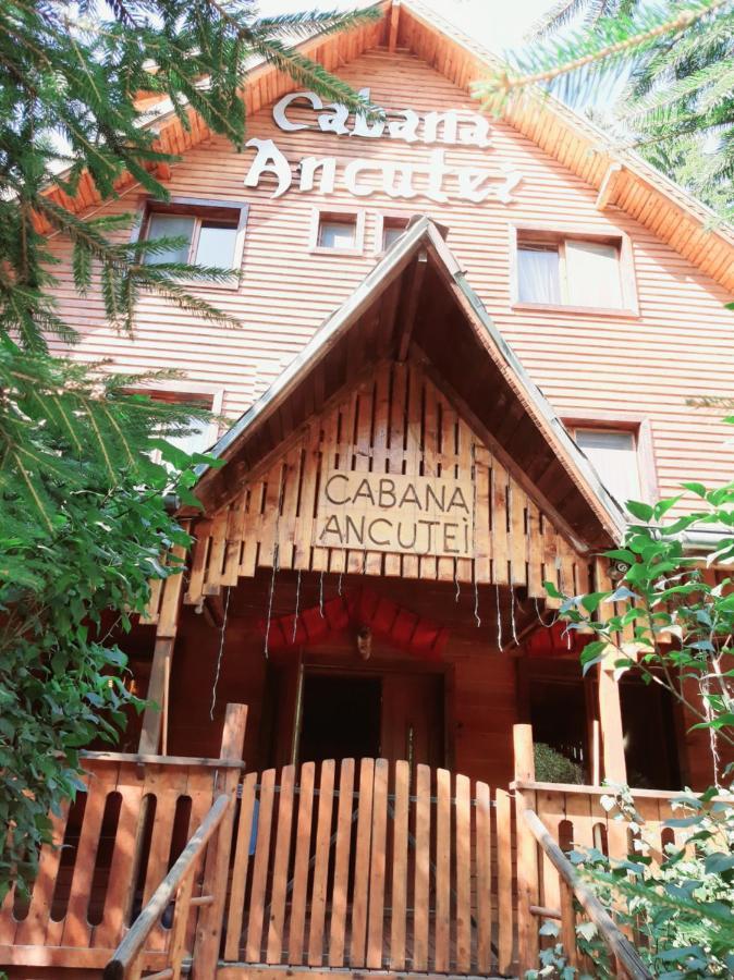 Cabana Ancutei Рукар Екстер'єр фото